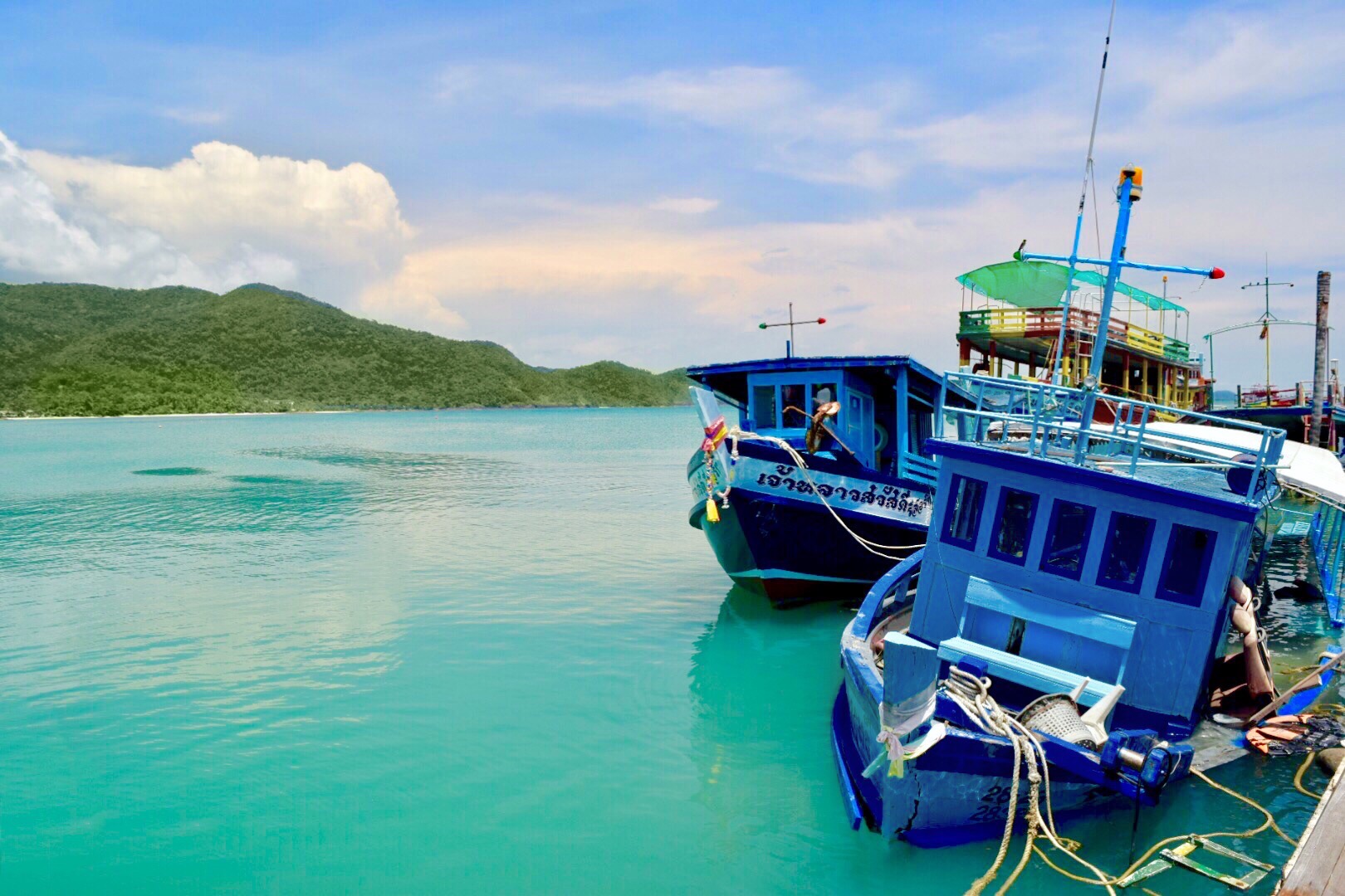 boats