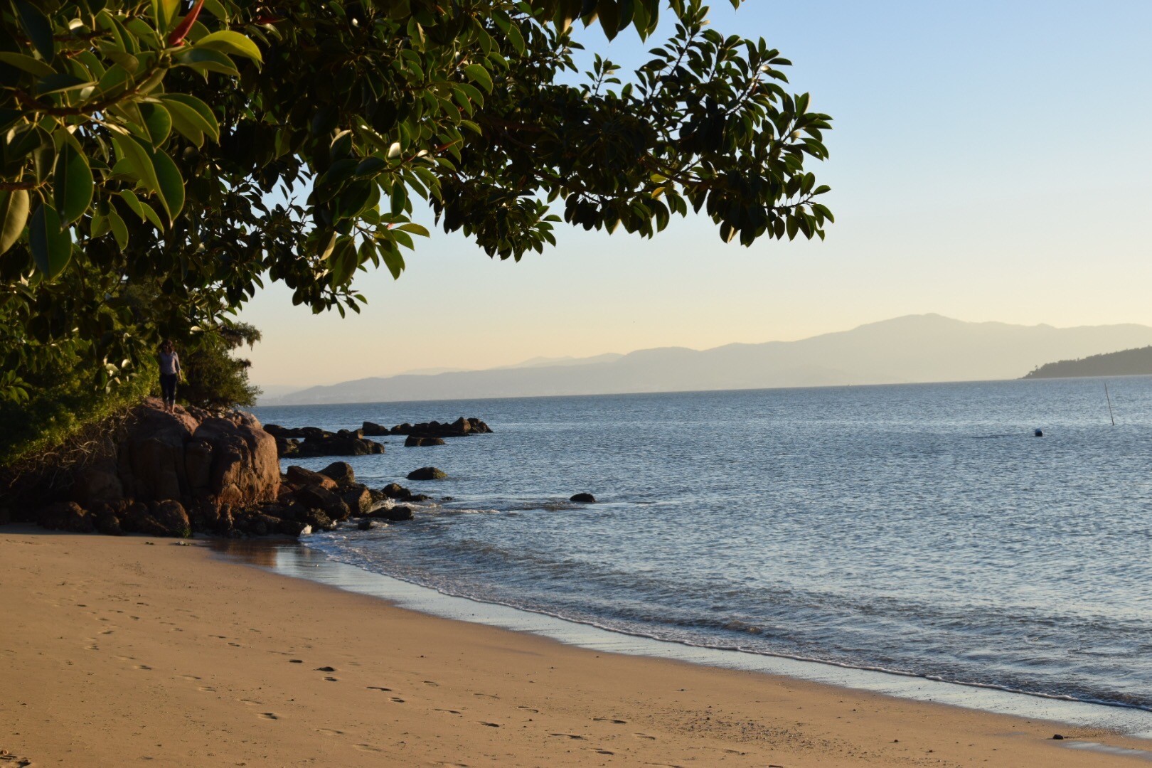 beach in brazil