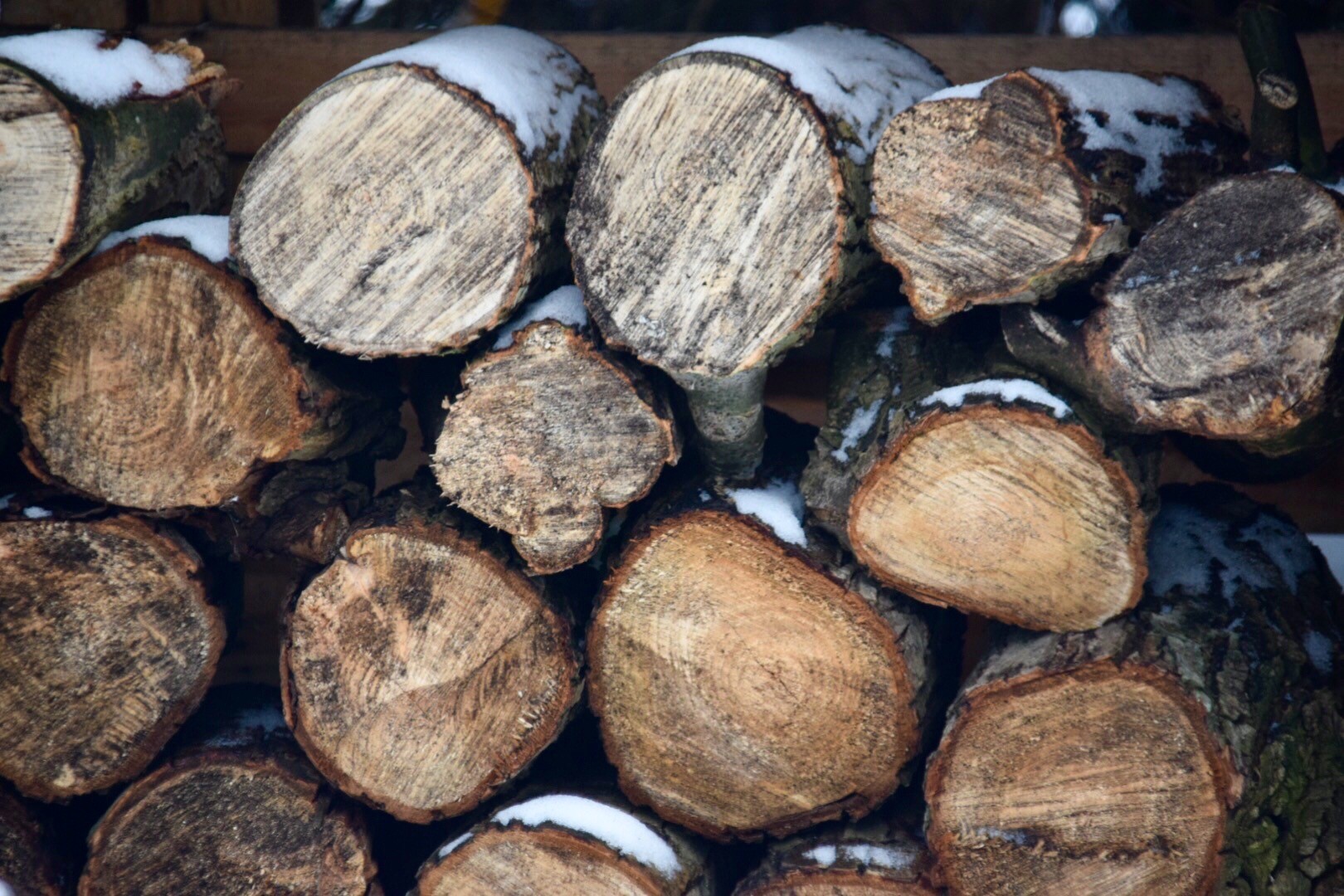 logs