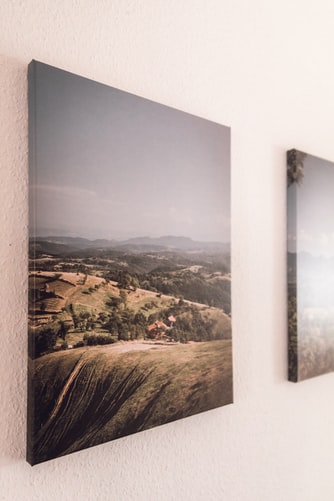 room with canvasses